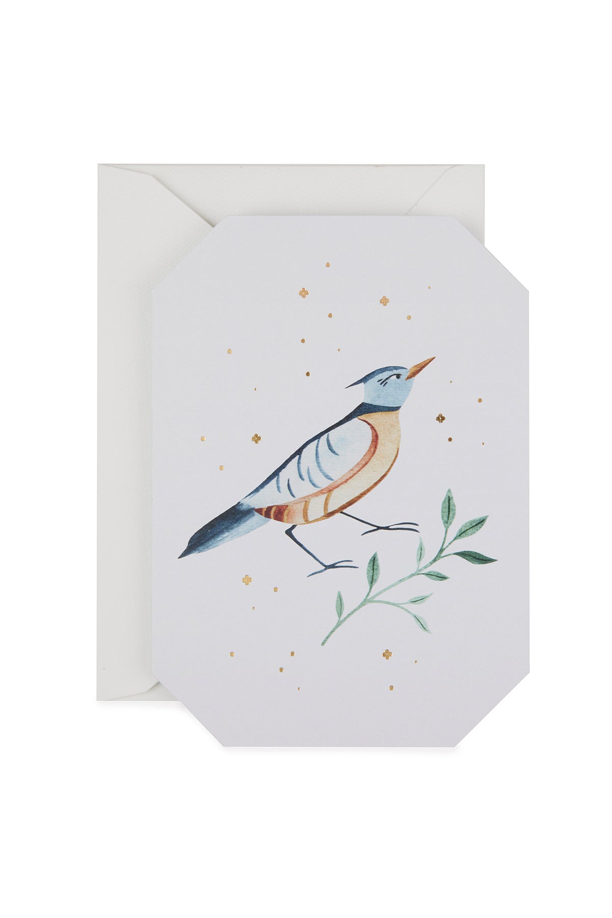 Mazu Studio Greeting Card Robin