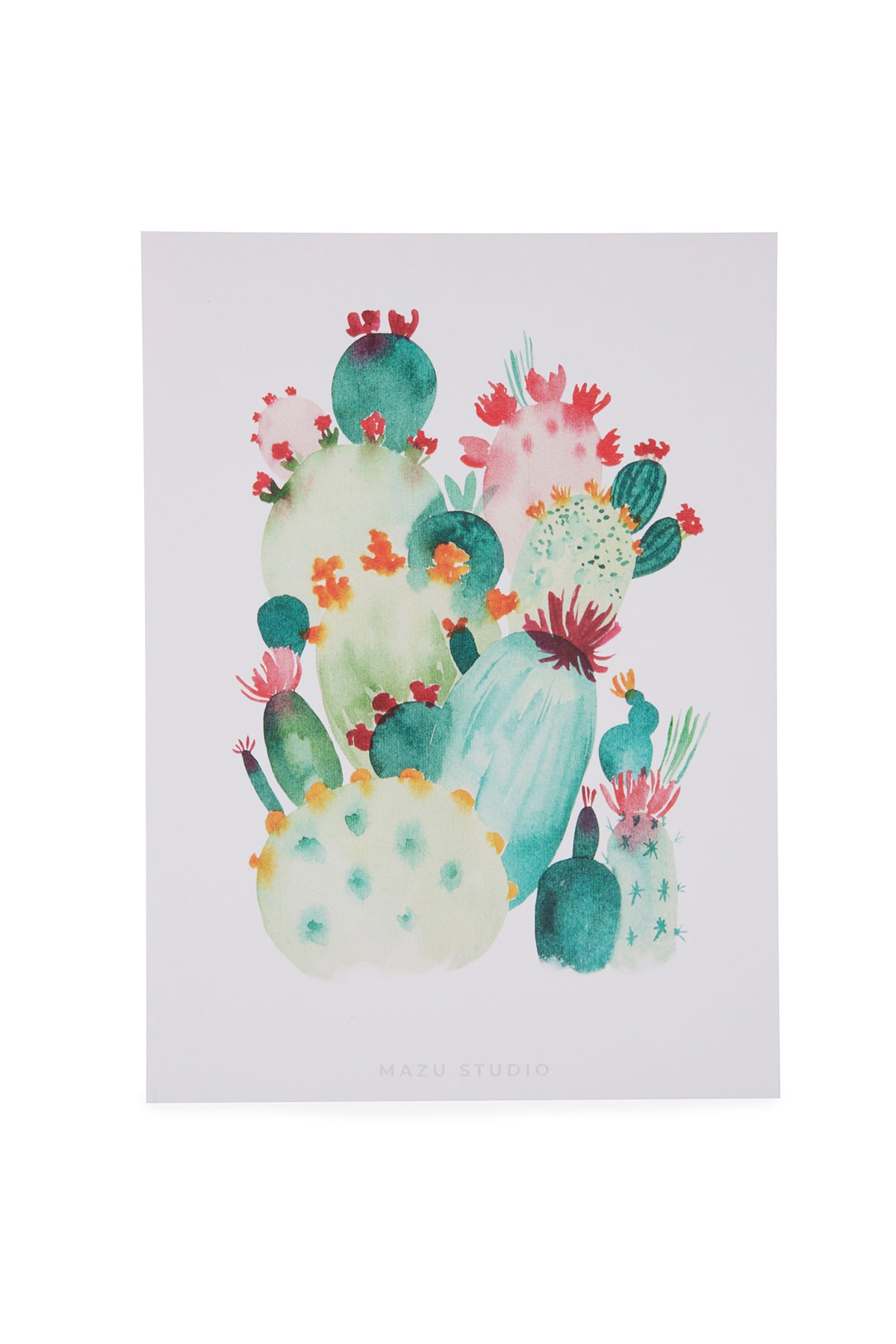 Mazu Studio Art Print Cacti