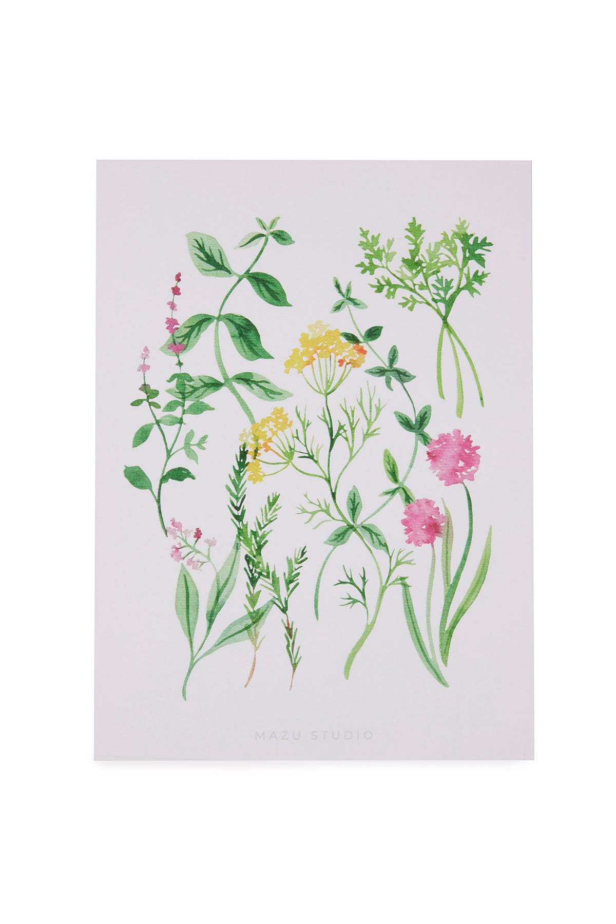 Mazu Studio Art Print Herbs